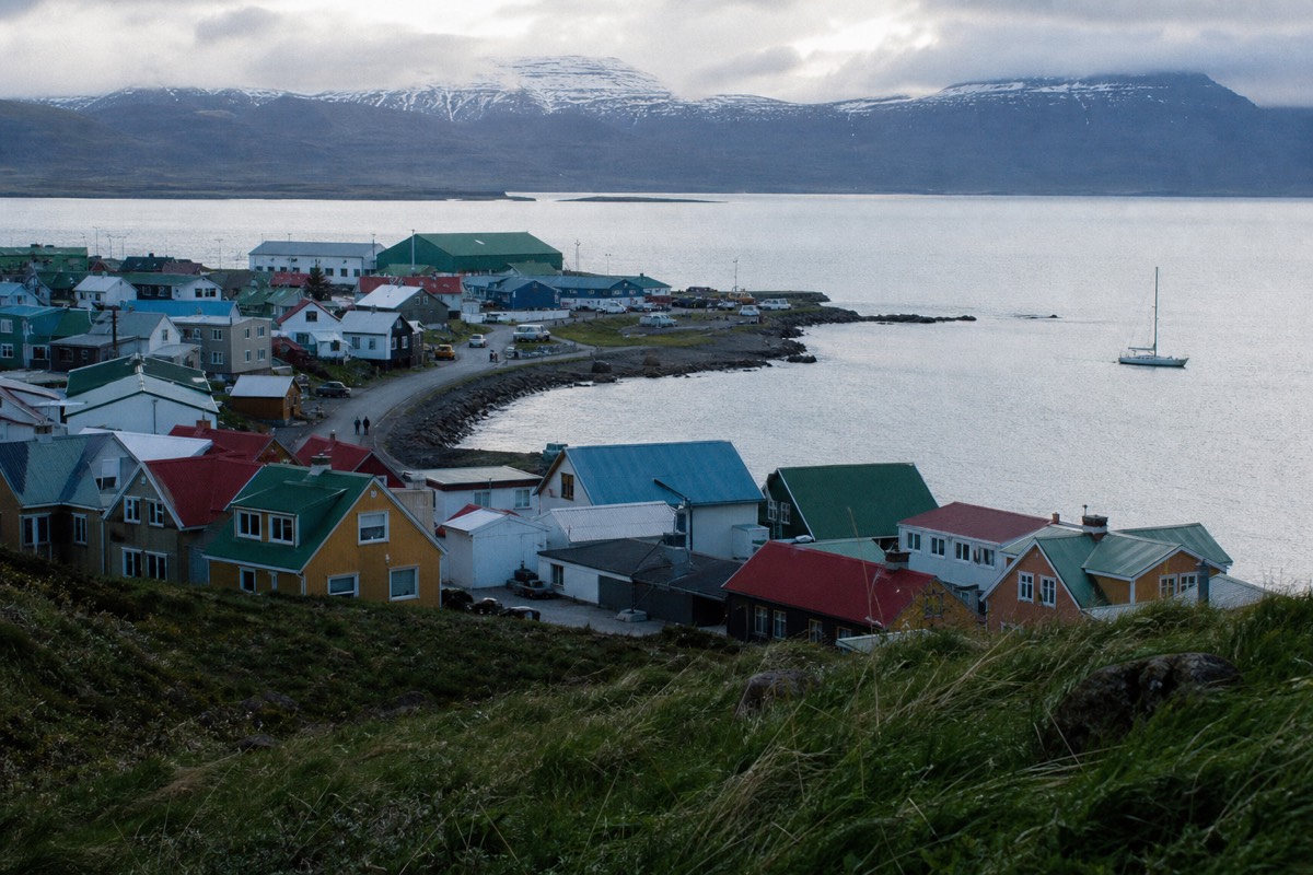 Private Penguin Paradise: Bertha's Beach & Stanley