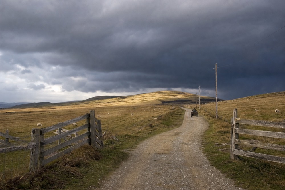 Gravel track running through open sheep country, a wooden farm gate standing open, telegraph poles receding towards a low ridge under an enormous sky