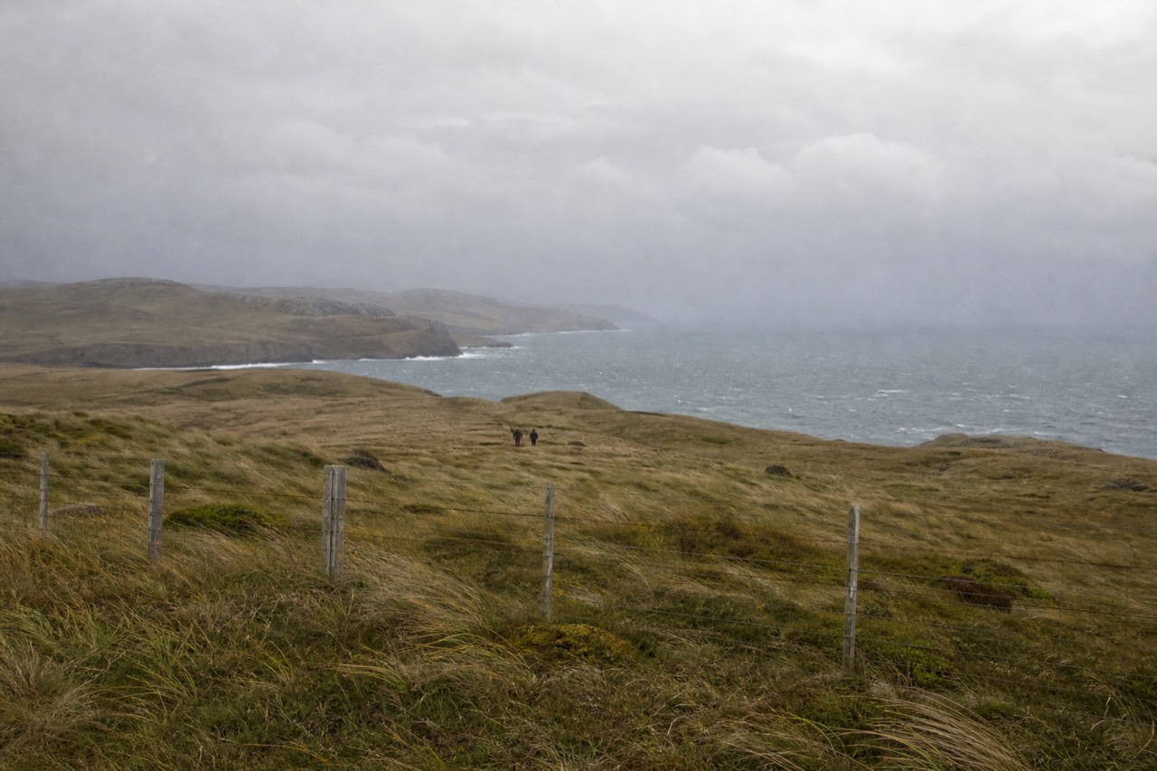 Wind-bent golden grassland running over low treeless hills to a grey sea, a weathered wire fence line crossing the frame, heavy cloud shadow on the slopes