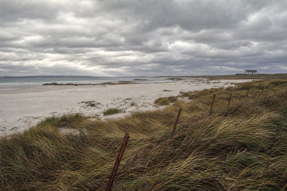 Coarse moorland grass laid flat in one direction by hard wind, a rusted wire fence leaning downwind and a solitary white farm building far off under bruised cloud