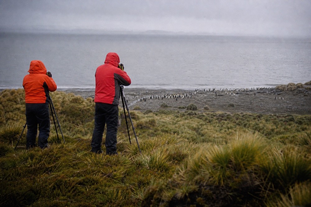 Two people in bright waterproofs photographing a distant penguin colony from a low ridge, tripod legs braced against the wind, sea flat and silver behind