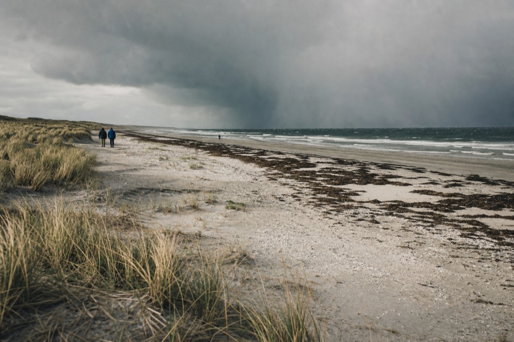 A long pale empty beach with a dark kelp line along the tide mark and low dunes behind, running out of sight into sea haze