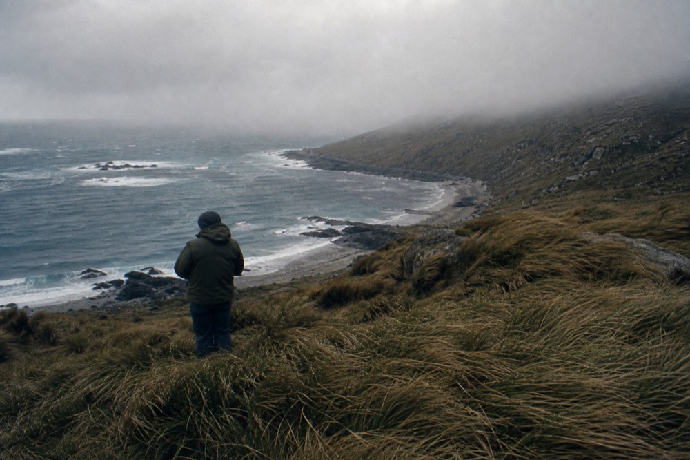 Wind-flattened tussac grass on an exposed headland with white caps breaking across a steel-blue bay and fast low cloud shadow racing over the slope