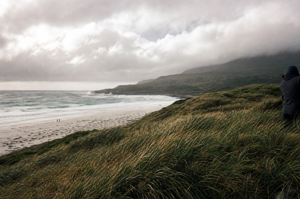 Wind-bent tussac grass on a steep coastal slope, whitecapped sea beyond, heavy low cloud pressing on the headland