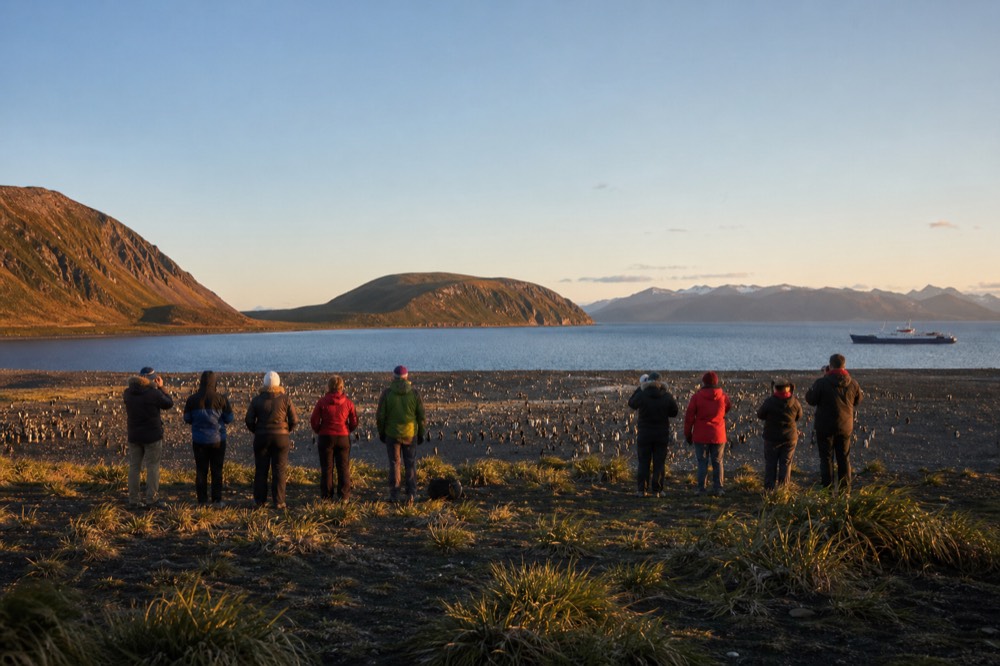 Visitors standing well back from a penguin colony on open ground, seen from behind at distance, cameras lowered in low golden light